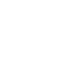 logo Dermotechnika NOWE