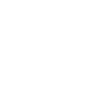 singularis
