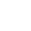 stapiz_logo