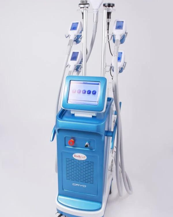 bodybell4