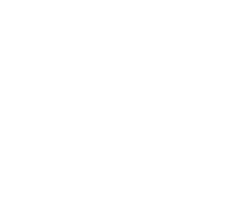 logo Dermotechnika NOWE
